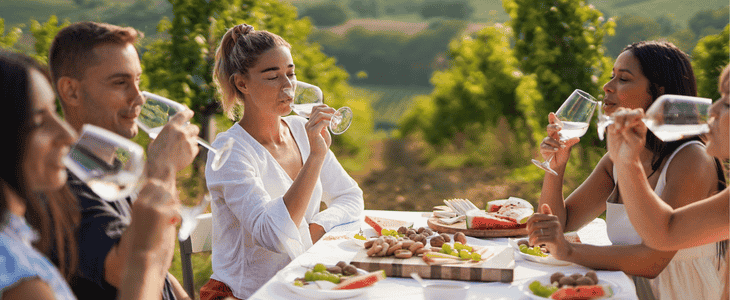 Friends sit at vineyard and drink wine